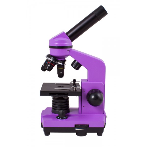 Rainbow 2L Levenhuk Amethyst Microscope