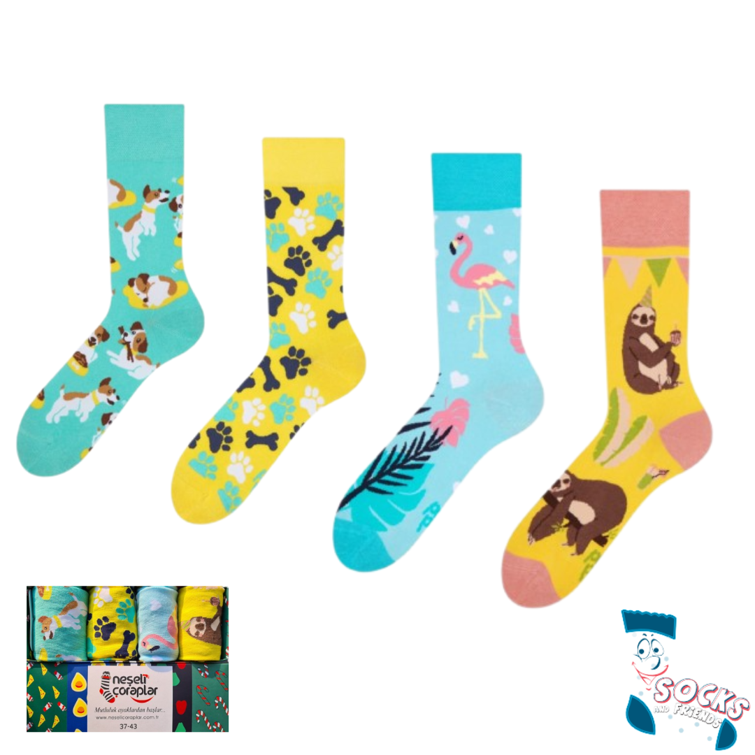 Socks&Friends set čarapa 4/1 Animal Lover